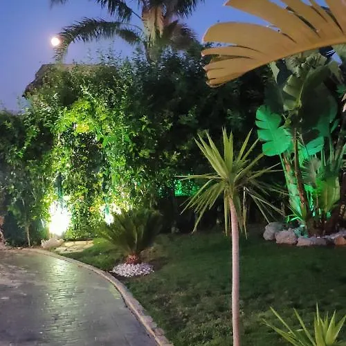 Alzahra كونيل ذي لا فرونتيرا